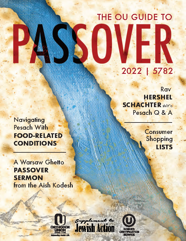 Pesach Guides • KVHKosher